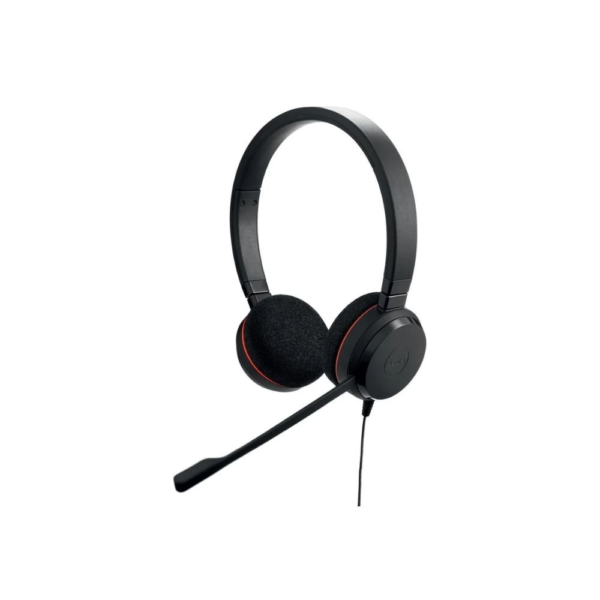 Jabra Evolve 20 Ms Usb-C/A Stereo Headset
